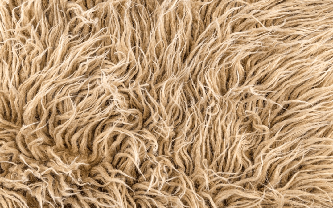 How Green Carpet Cleaning Protects Indoor Air Quality in Minneapolis Homes