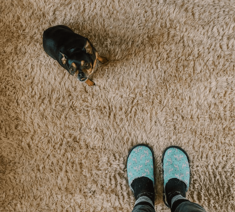 The Complete Guide to Cleaning Carpets, Rugs, and Tile Flooring Without Damage