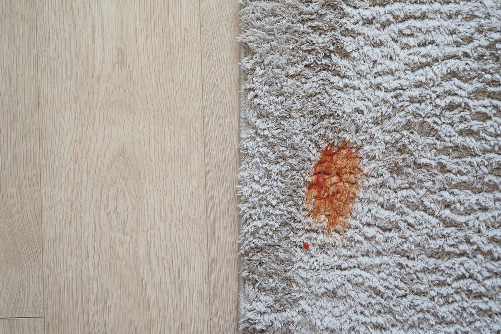 tomato stain on a carpet indoors,